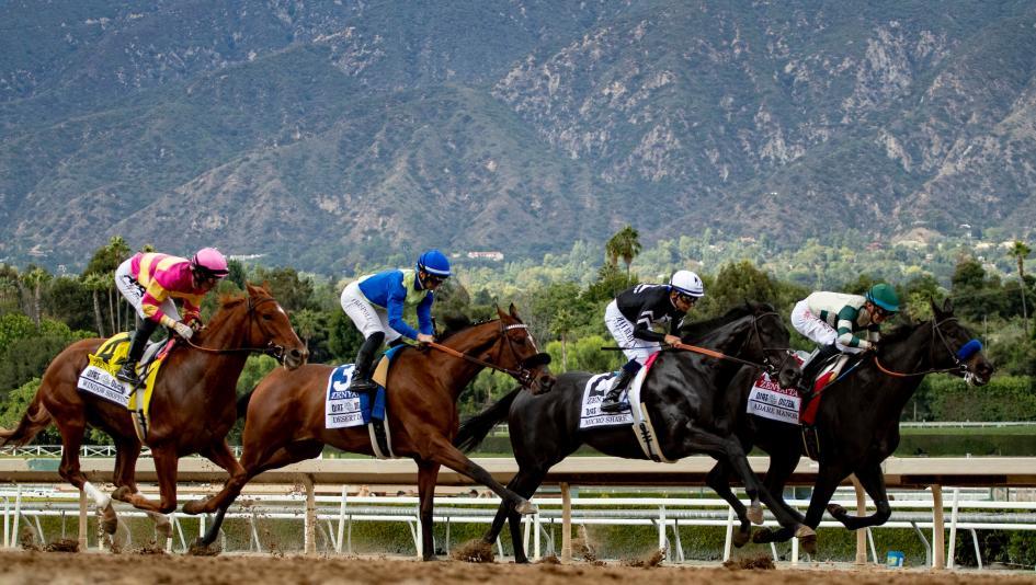 Featured image for 2024 Beholder Mile: Handicapping, Free Picks, and Predictions